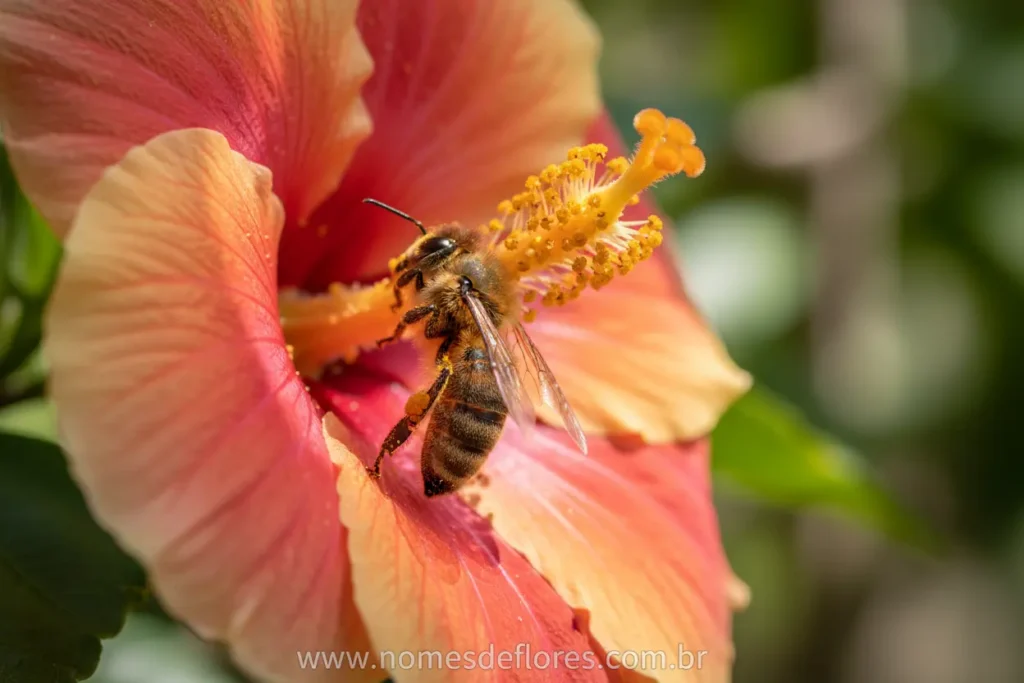 Abelha polinizando uma flor amarela no campo.