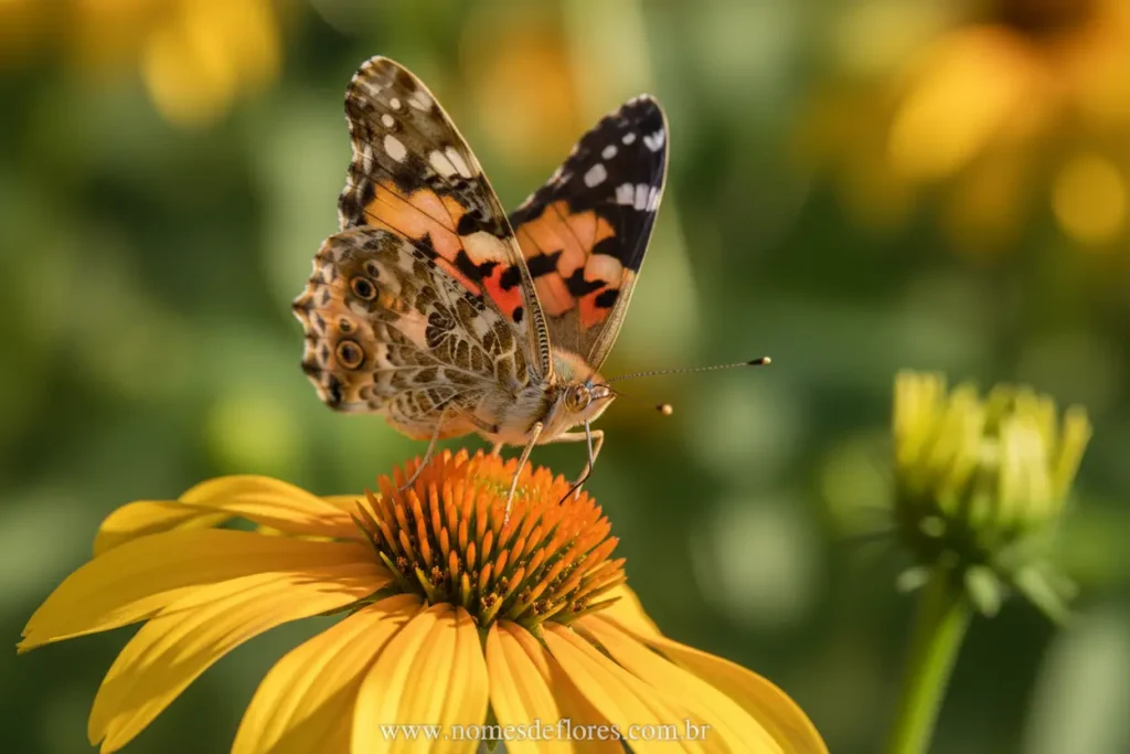 Borboleta sugando néctar de uma flor colorida