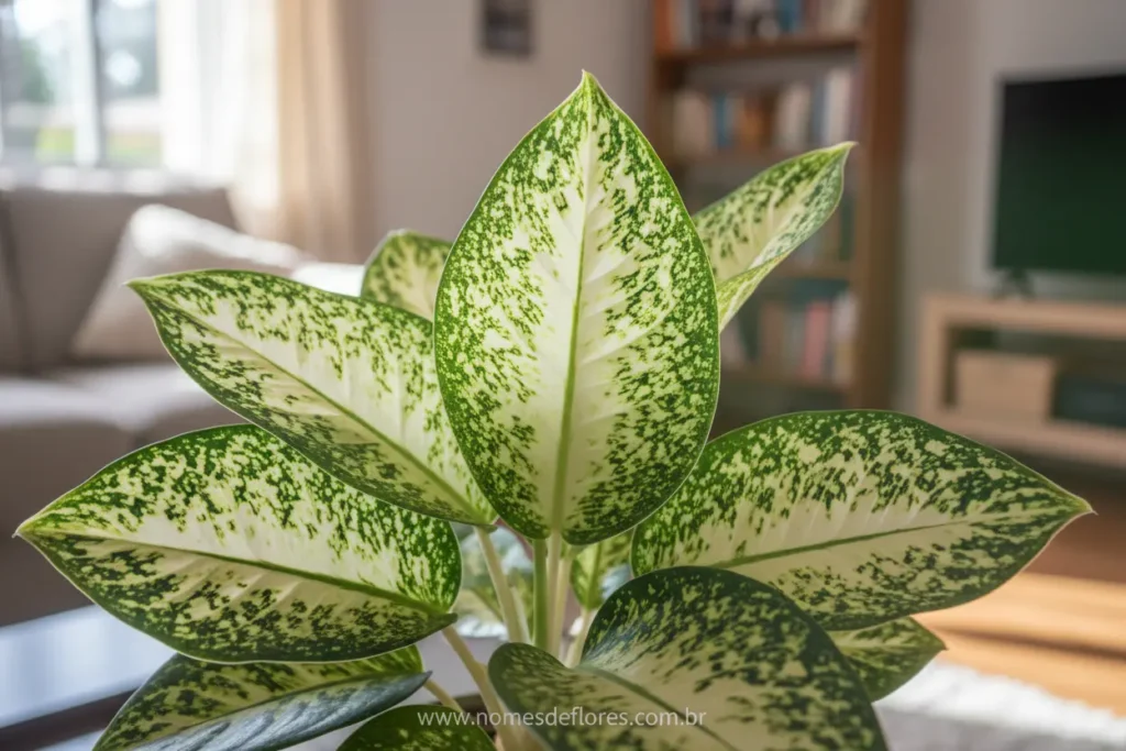 Comigo-ninguém-pode, planta tóxica em paisagismo.