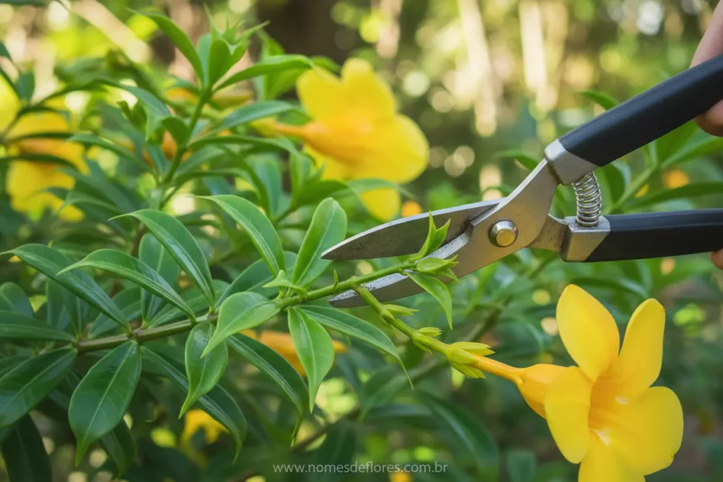 Técnicas de poda para manter a Alamanda saudável e florida